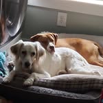 Elizabeth Ballard Eaton - @ebeaton76 - Instagram