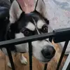 mimi - @elizabarber8 - TikTok