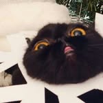 Eliza Baron - @elizab_2015 - Instagram