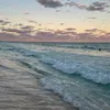 𓆉✩𝐞𝐥𝐢°｡ ⋆ - @.eliza_.beach - TikTok