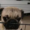 Eliza Beach - @beh.biaaattcchh - TikTok