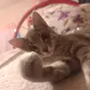 Eliza Bernal - @eliza.bernal37 - TikTok