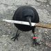 Eliza Bird - Facebook