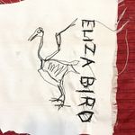 Eliza Bird - @elizabirdband - Instagram