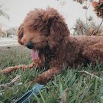 elizabeth :) - @elizabird - Instagram
