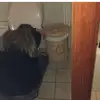 eliza black - @elizablack - TikTok