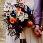 Elizabeth Blevins - @preciousgemdahliafarm - Instagram