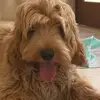 Eliza Bliss - @eliza_b8 - TikTok