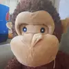 elizabethboland12_12 - @elizabethboland12_ - TikTok