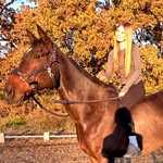 Elizabeth Boone - @elizabethclare_eq - Instagram