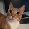 Liza  Bowen - @liza.bowen2 - TikTok
