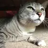 elizabeth bragg - @elizabeth.bragg - TikTok
