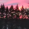 Elizabeth Burns - @elizabethburns0 - TikTok