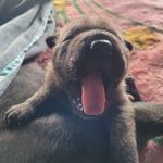Eliza Byrd - @elizabyrddesign - Instagram