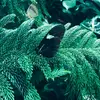 elizabeth.p.byrd - @elizabeth.p.byrd - TikTok