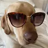 elizabeth - @elizabethcalvin - TikTok