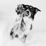 Tiny, Calvin & Eliza - @tinyandcalvinandeliza - Instagram