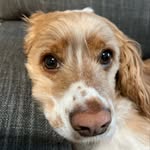 Eliza Carter - @carter.mommyof3 - Instagram