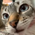 Eliza Chandam - @eliza_chandam - Instagram