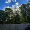 Elly❤️ - @elizabeth.elder - TikTok