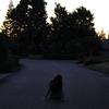Eliza Friedman - @elizafriedman - TikTok