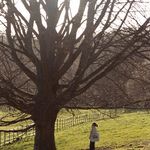 Eliza Goodwin - @goodwin.eliza - Instagram
