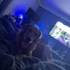 Eliza Gray - @eliza.gray37 - TikTok