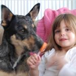 eliza - @eliza_marcuson - Instagram