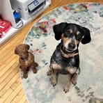Eliza Mason - Facebook