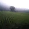 ElizaMckee - @elizamckee - TikTok