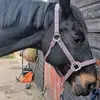 ElizaPhillips - @elizaphillips34 - TikTok