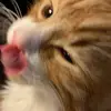 Eliza - @elizaapope - TikTok