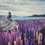 eliza post - @elizapost - Instagram