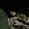 Eliza Powell - @eliza.powell0 - TikTok