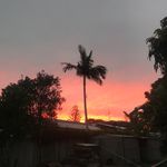 Eliza read - @elizaread16 - Instagram
