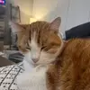 Eliza🌮 - @eliza_redd_10 - TikTok