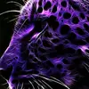 котик1249Марсель и Барсик - @elizaringg9 - TikTok
