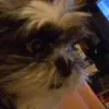 elizabeth - @.elizabethryan - TikTok