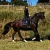 Ryan Eliza - @ryan._eliza - TikTok