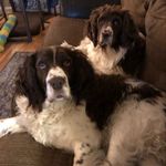 Eliza Schell - @lizainmpls - Instagram