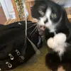 eliza🫘 - @eliza.is.small - TikTok