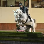 Elizabeth Stout - @elizabeth_eq0 - Instagram