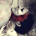 Eliza Thayer - Facebook