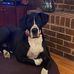 Elizabeth Thayer - Facebook