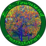 Elizabeth Townsend - @e.c.townsend.photography - Instagram