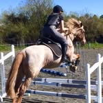 eliza whitlock<3 - @elizaxeq - Instagram