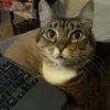 Elizabeth Abraham - @elizabeth.abraham24 - TikTok