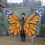 Elizabeth Antonucci - @antonucci488 - Instagram