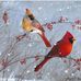 Elizabeth Antonucci - Facebook