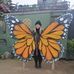 Elizabeth Antonucci - Facebook